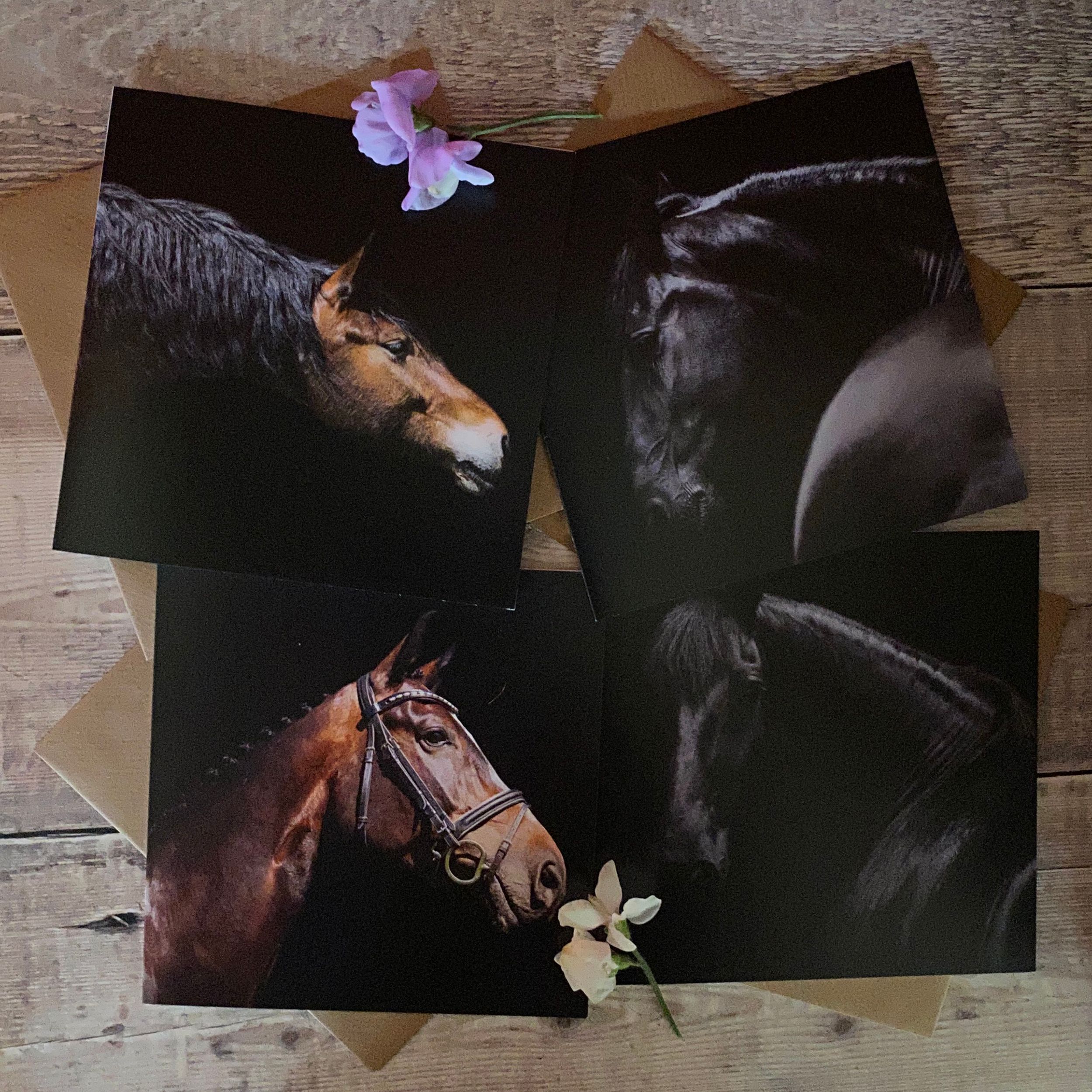 Equestrian Cards and Gifts